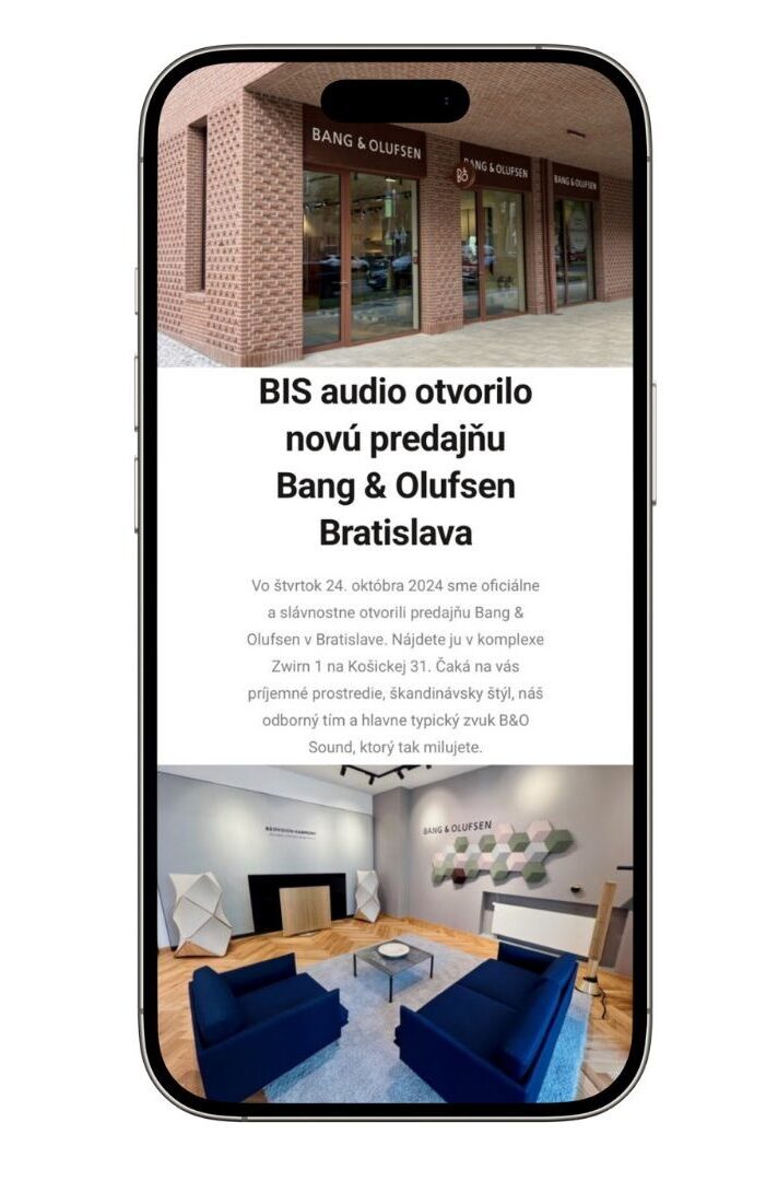 Clean Website Launch Presentation With Mockups 9